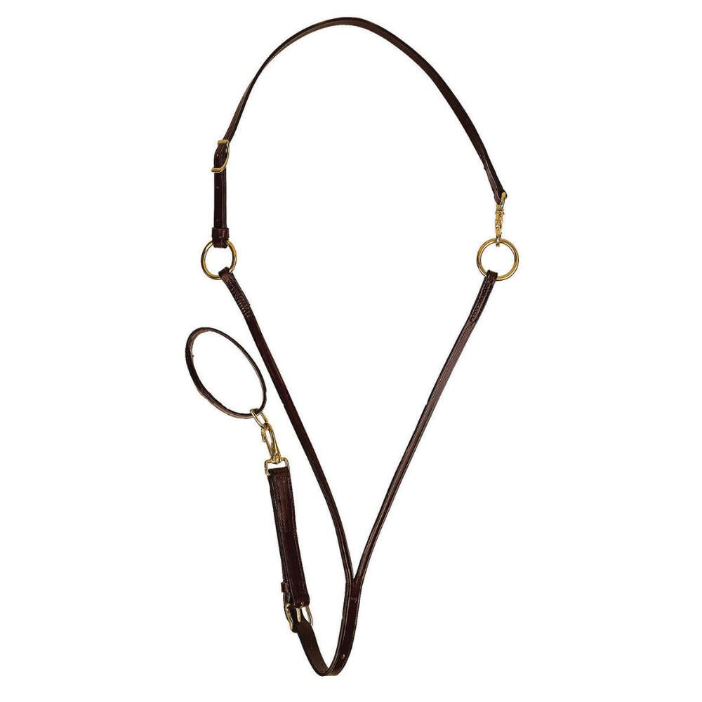 Running Martingale Arab Solo